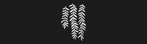 Organic 4 brush stroke preview from Boho Shapes for Procreate