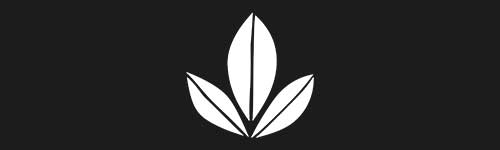 Organic 5 brush stroke preview from Boho Shapes for Procreate