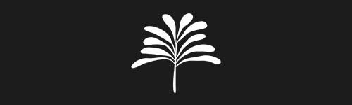 Organic 6 brush stroke preview from Boho Shapes for Procreate