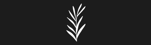 Organic 8 brush stroke preview from Boho Shapes for Procreate