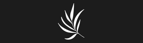 Organic 11 brush stroke preview from Boho Shapes for Procreate
