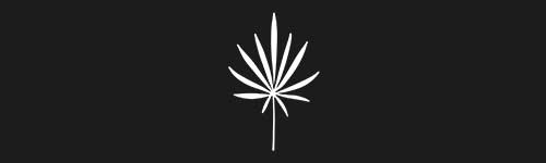 Organic 12 brush stroke preview from Boho Shapes for Procreate