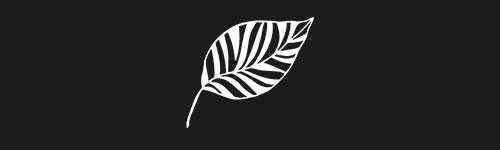 Organic 14 brush stroke preview from Boho Shapes for Procreate