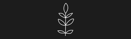 Organic 15 brush stroke preview from Boho Shapes for Procreate
