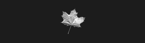 Leaf 1 brush stroke preview from Autumn Brushes for Procreate