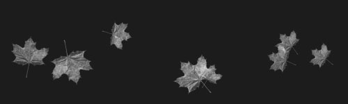Leaves 1 brush stroke preview from Autumn Brushes for Procreate
