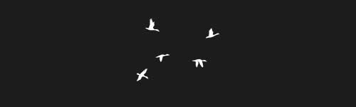 Birds Stamp brush stroke preview from Autumn Brushes for Procreate
