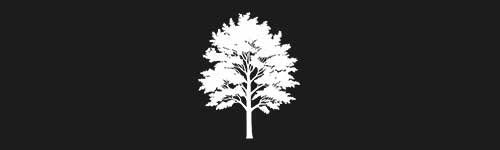 Birch 4 brush stroke preview from Tree Stamps for Procreate
