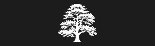Cedar 1 brush stroke preview from Tree Stamps for Procreate