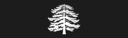 Cedar 2 brush stroke preview from Tree Stamps for Procreate
