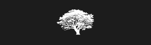 Elm 1 brush stroke preview from Tree Stamps for Procreate