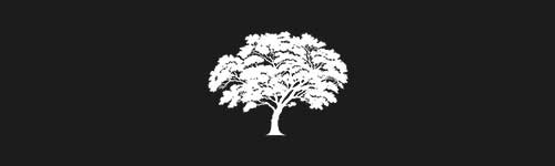 Elm 4 brush stroke preview from Tree Stamps for Procreate