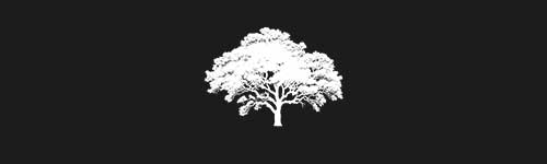 Elm 5 brush stroke preview from Tree Stamps for Procreate