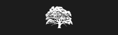 Elm 8 brush stroke preview from Tree Stamps for Procreate