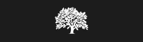 Elm 11 brush stroke preview from Tree Stamps for Procreate