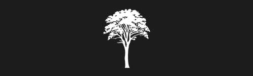 Elm 13 brush stroke preview from Tree Stamps for Procreate