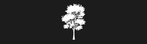 Linden 1 brush stroke preview from Tree Stamps for Procreate
