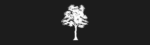 Linden 2 brush stroke preview from Tree Stamps for Procreate