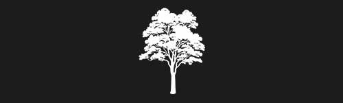 Linden 4 brush stroke preview from Tree Stamps for Procreate