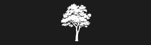 Linden 5 brush stroke preview from Tree Stamps for Procreate