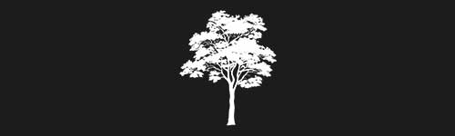 Linden 6 brush stroke preview from Tree Stamps for Procreate
