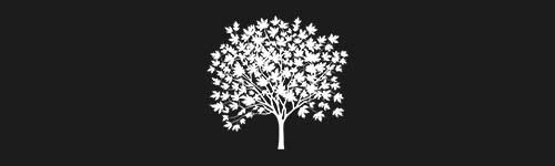 Maple 1 brush stroke preview from Tree Stamps for Procreate