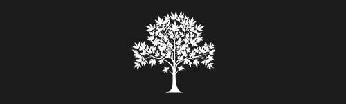 Maple 2 brush stroke preview from Tree Stamps for Procreate