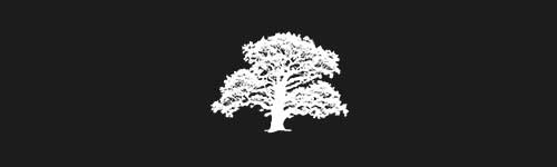 Oak 1 brush stroke preview from Tree Stamps for Procreate