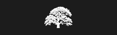 Oak 2 brush stroke preview from Tree Stamps for Procreate