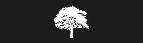 Oak 3 brush stroke preview from Tree Stamps for Procreate