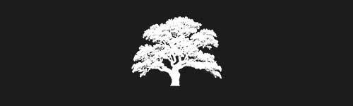 Oak 5 brush stroke preview from Tree Stamps for Procreate