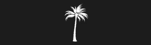 Palm 14 brush stroke preview from Tree Stamps for Procreate