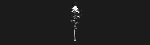 Pine 1 brush stroke preview from Tree Stamps for Procreate