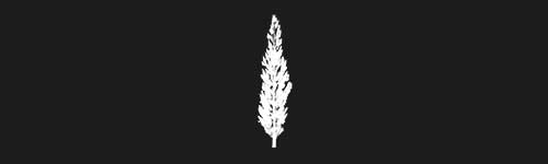 Poplar 1 brush stroke preview from Tree Stamps for Procreate