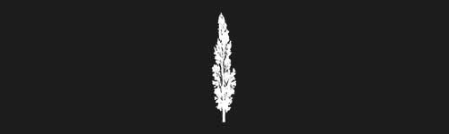 Poplar 2 brush stroke preview from Tree Stamps for Procreate