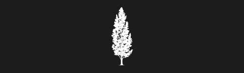 Poplar 3 brush stroke preview from Tree Stamps for Procreate
