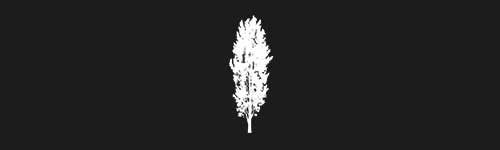 Poplar 5 brush stroke preview from Tree Stamps for Procreate