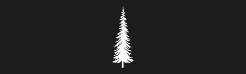 Spruce 11 brush stroke preview from Tree Stamps for Procreate