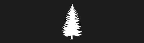 Spruce 17 brush stroke preview from Tree Stamps for Procreate