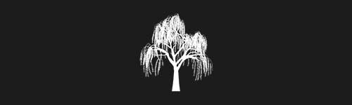 Willow 4 brush stroke preview from Tree Stamps for Procreate