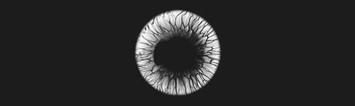 Mystic Iris brush stroke preview from Eye Master for Procreate