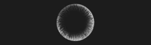 Phantom Iris brush stroke preview from Eye Master for Procreate